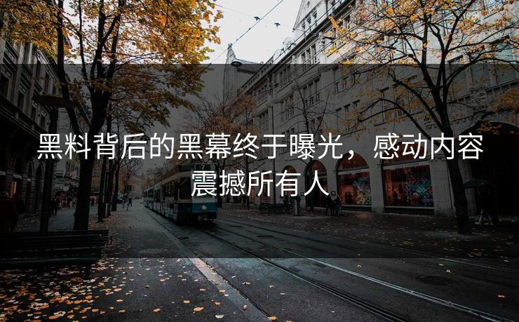黑料背后的黑幕终于曝光，感动内容震撼所有人