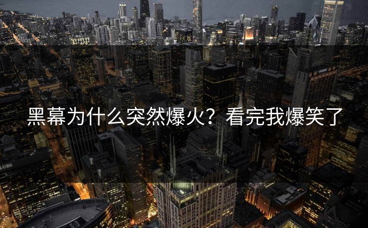 黑幕为什么突然爆火？看完我爆笑了