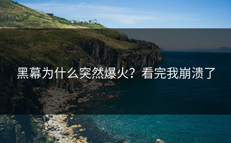 黑幕为什么突然爆火？看完我崩溃了