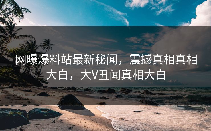 网曝爆料站最新秘闻，震撼真相真相大白，大V丑闻真相大白