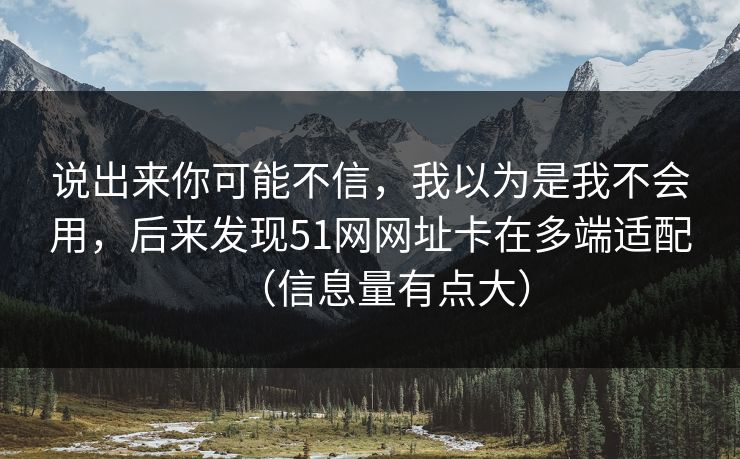 说出来你可能不信，我以为是我不会用，后来发现51网网址卡在多端适配（信息量有点大）
