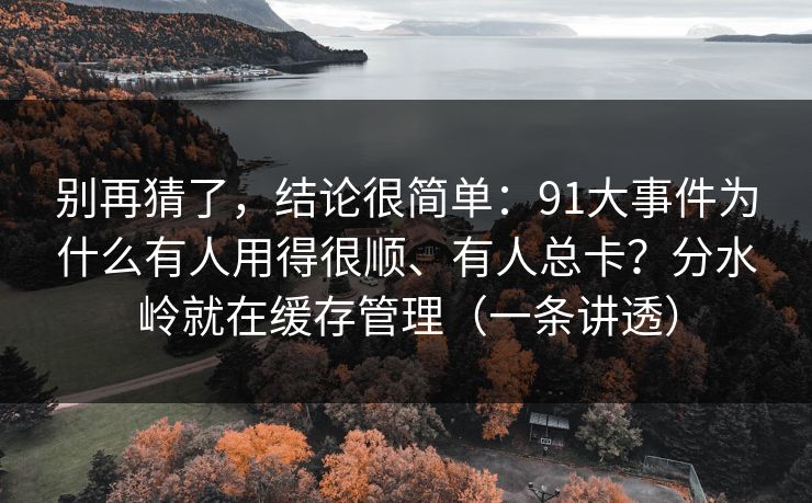 别再猜了，结论很简单：91大事件为什么有人用得很顺、有人总卡？分水岭就在缓存管理（一条讲透）